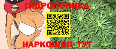 бошки Донской