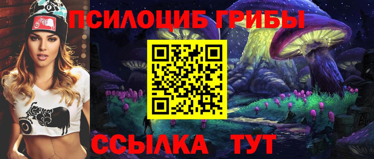 Наро-Фоминск  Псилоцибиновые грибы прущие грибы  Вход с VPN 